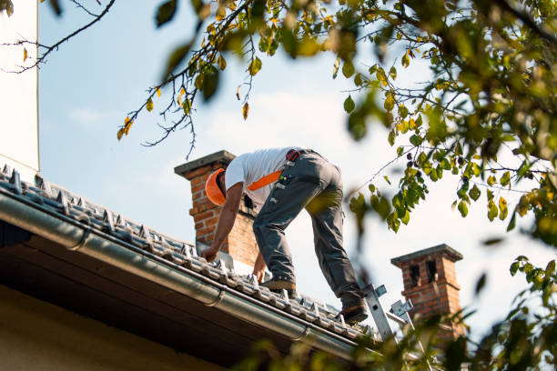 Best Roof Maintenance Services  in Georgetown, CA