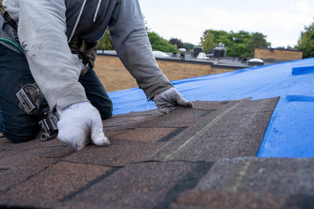 Best Roof Gutter Cleaning  in Georgetown, CA