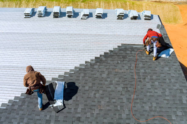 Best Metal Roofing Contractor  in Georgetown, CA